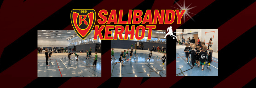 Banner for hobby advert Salibandy Koovee